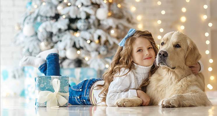 Quand installer son sapin de Noël ?