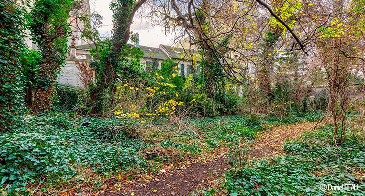 Déjà vendue à Paris ! - Maison à 35 millions d'euros avec travaux