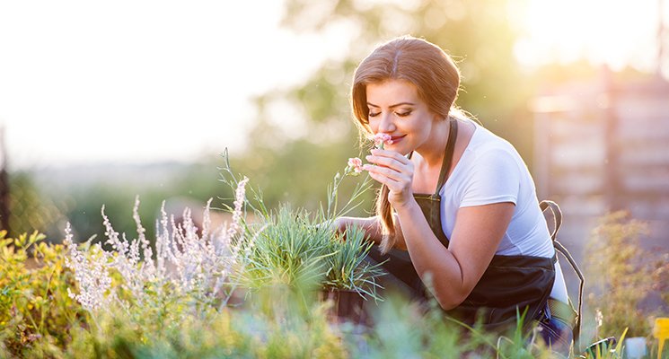 Le slow gardening - Pour jardiner sans stresser