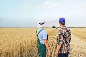 Monde agricole : sociétés spécifiques et bail rural - La lettre des notaires de France - Mai 2021