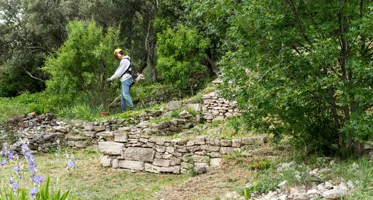 Crédit d'impôt pour le débroussaillement : c'est dans les tuyaux !